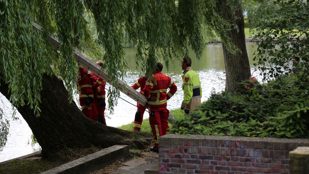 112-nieuws: Automobilist botst op boom bij Rasquert • Stuntende motorrijder crasht in Stad