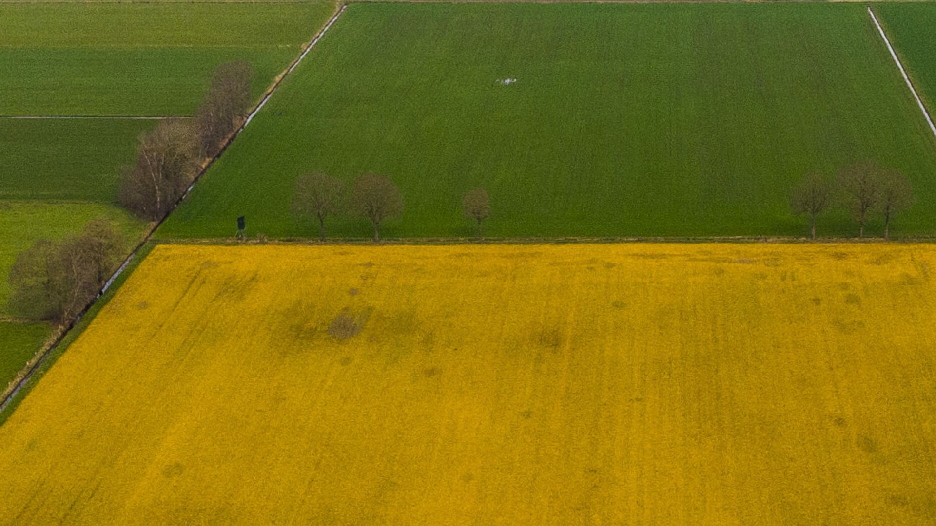 Provinsje wol minder bestridingsmiddels, boeren krije jild om te eksperimentearjen