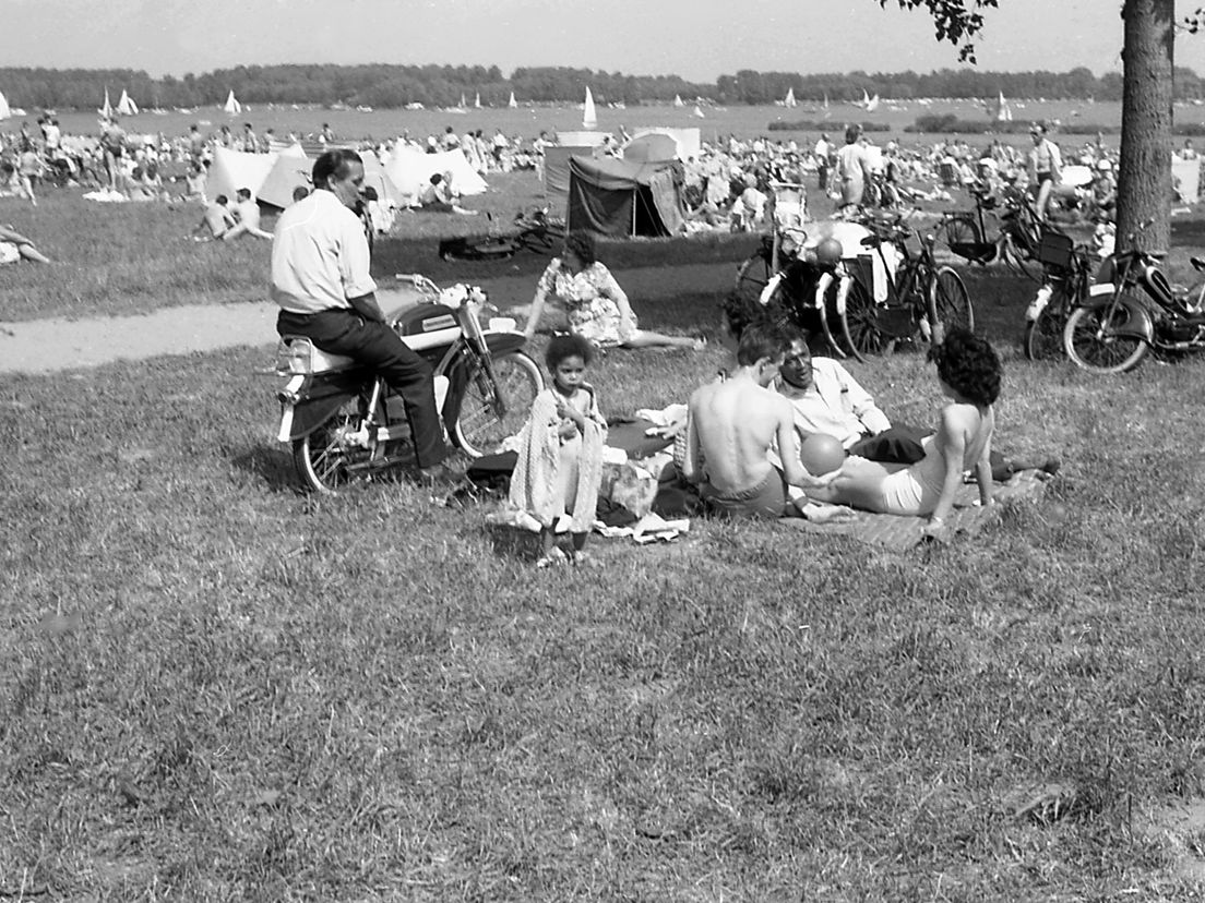 Kralingse Bos 1963