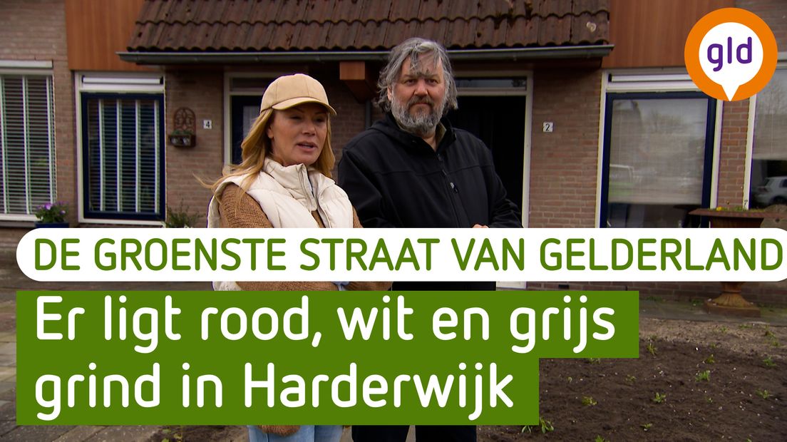 De Groenste Straat van Gelderland - Harderwijk
