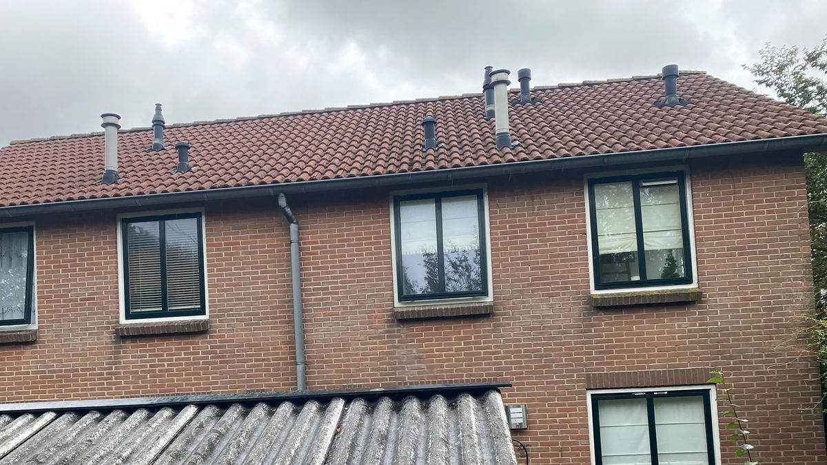 Inge daagt woningcorporatie voor de rechter wegens giftige stoffen: 'Mijn paradijsje werd een hel'