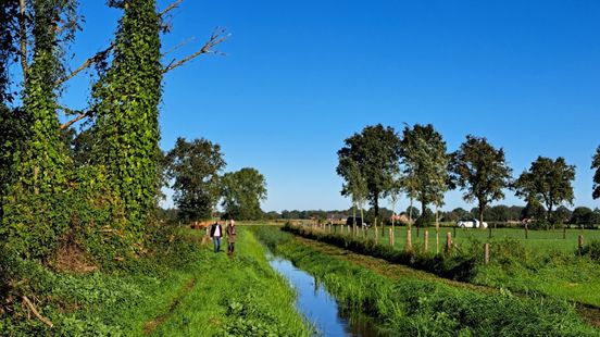 Zo komt dit geheimzinnige bos aan zijn vreemde naam