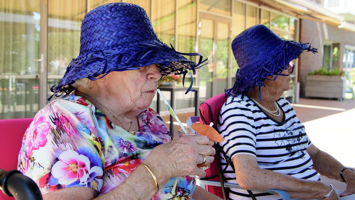 Temperaturen in Drenthe boven 30 graden, Nationaal Hitteplan en ...