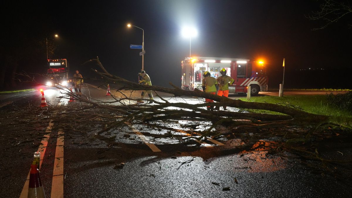 Tak verspert weg tussen Baarn en Bunschoten: brandweer zaagt hele boom om