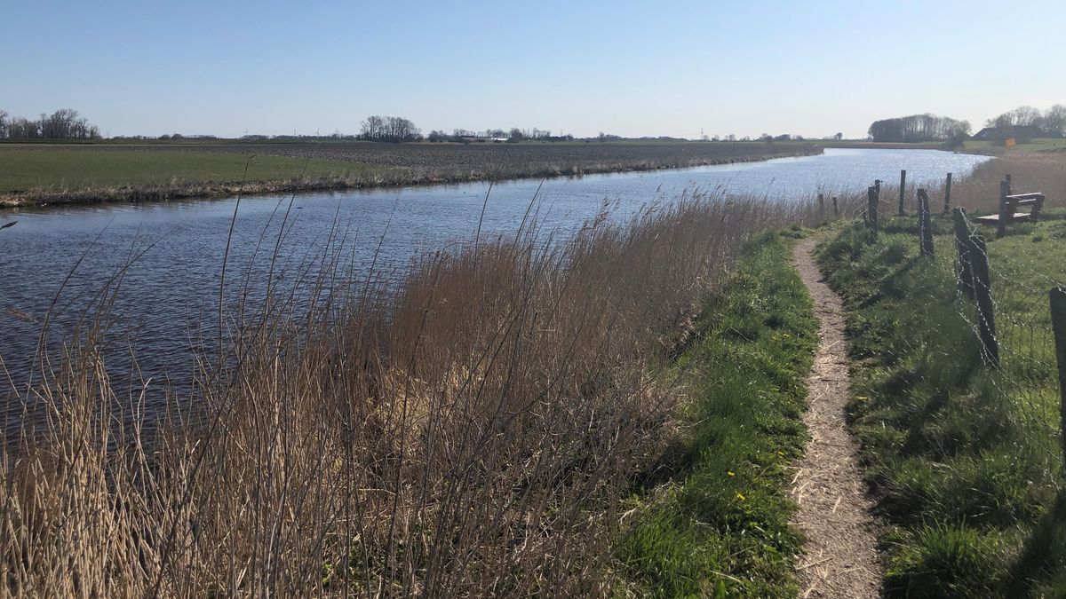Gemeente belooft: geliefde zwemsteiger Ezinge voor de zomer herbouwd