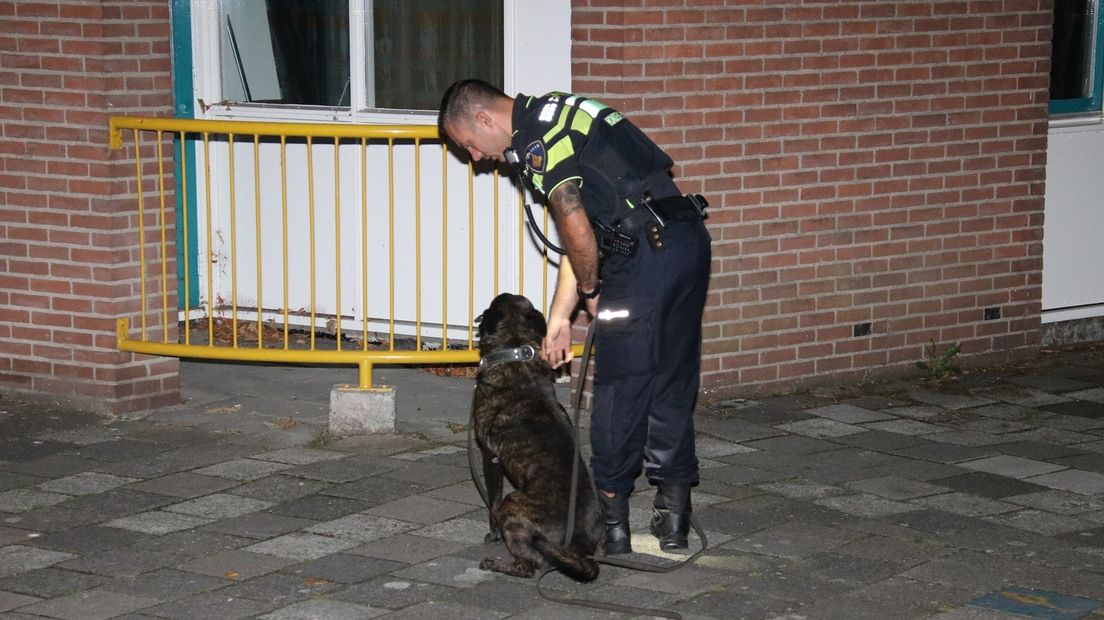 Ook hondengeleiders werden opgeroepen. De politiehonden hoefden niet in actie te komen