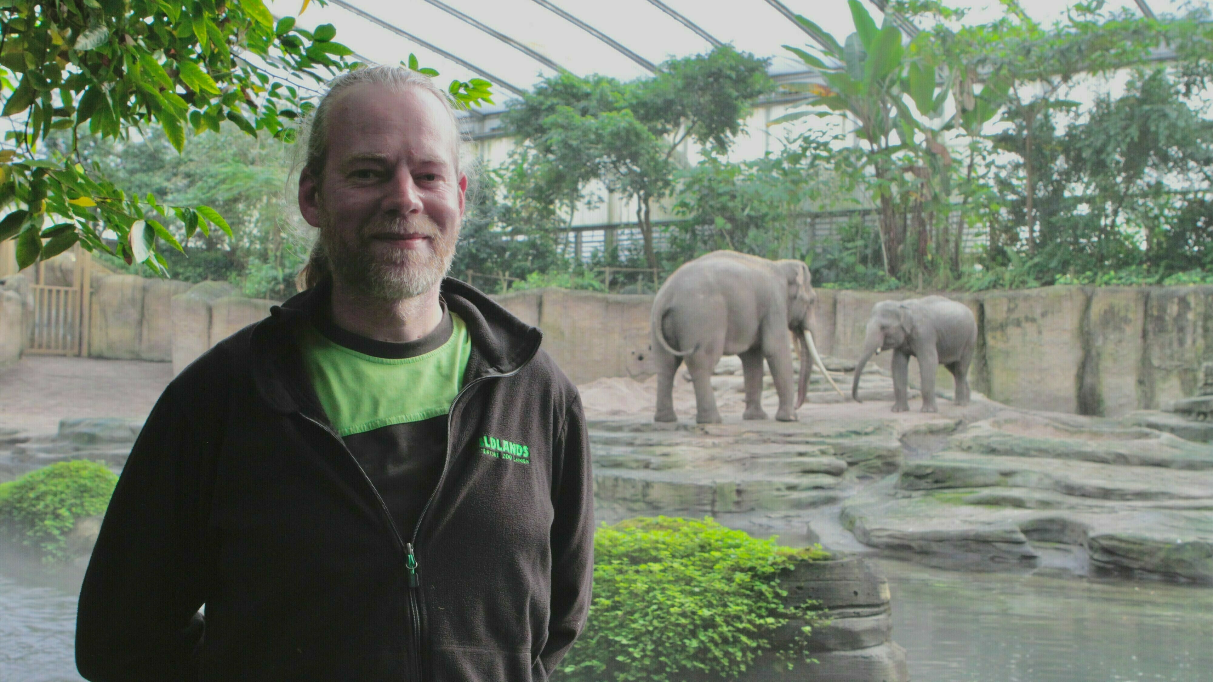 Olifantenjaar 2025 in Wildlands: rouw, keuzes en een kudde die opnieuw moet beginnen