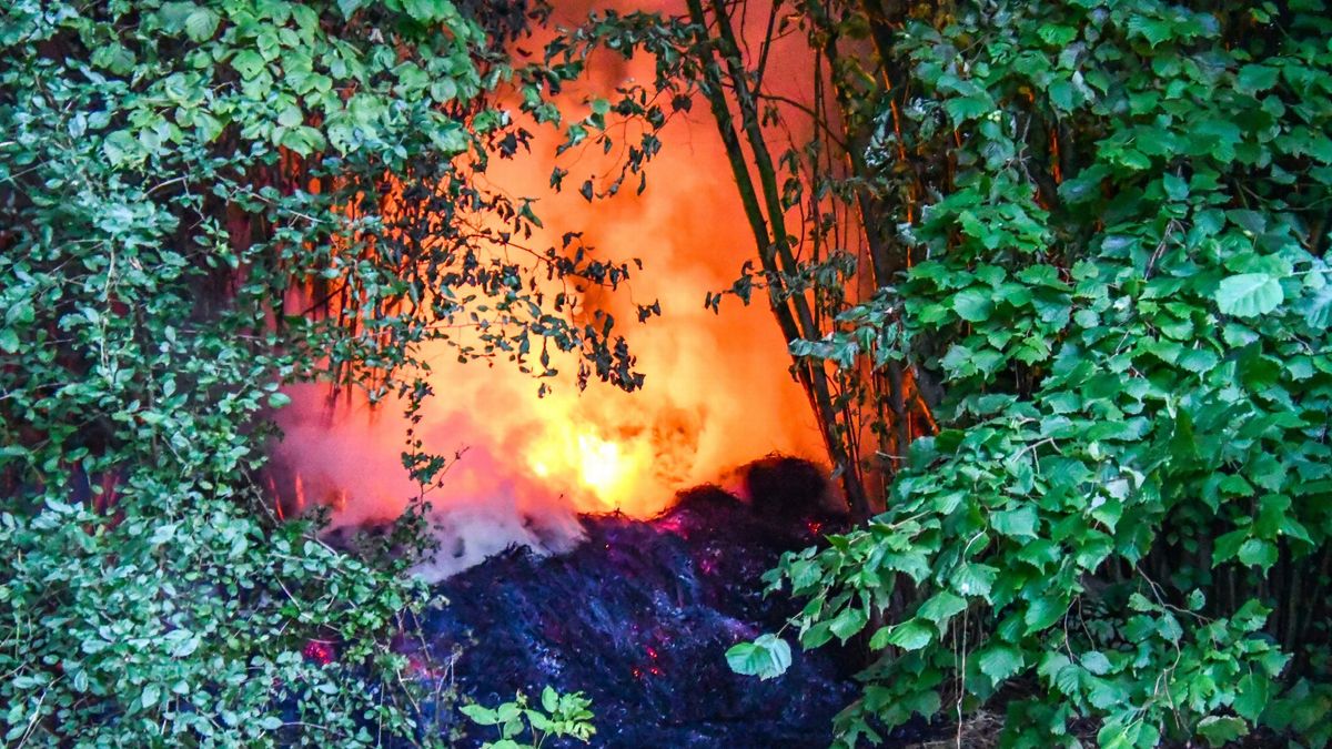 Kleine brand in het Leeuwarder Bos | Twee verdachten aangehouden voor beroving in Franeker