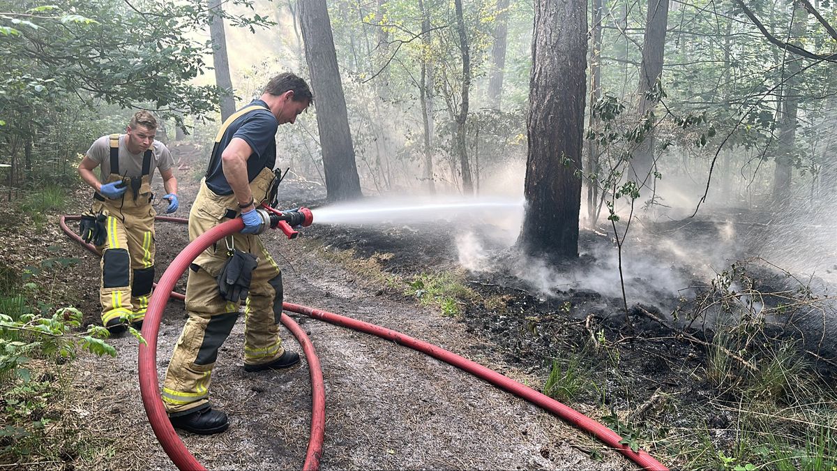 Zeer grote bosbrand in Vredepeel