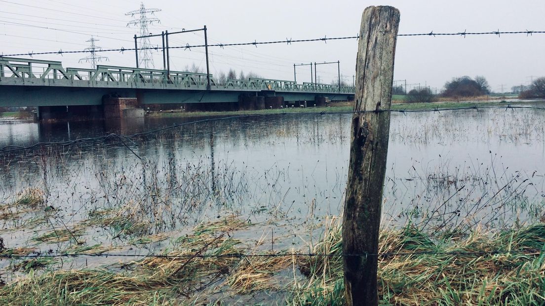 Hoogwater in de Vecht