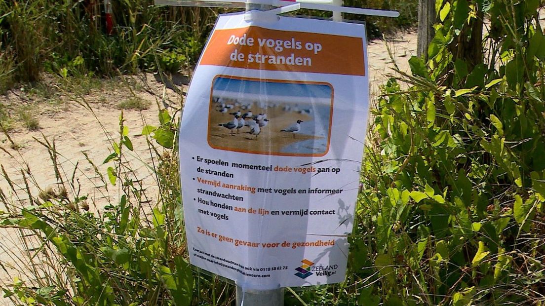 Poster dode vogels