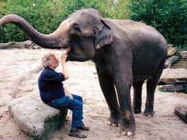 Rob zorgde jarenlang voor olifant Irma: 'Nieuws over haar dood was drie keer slikken'