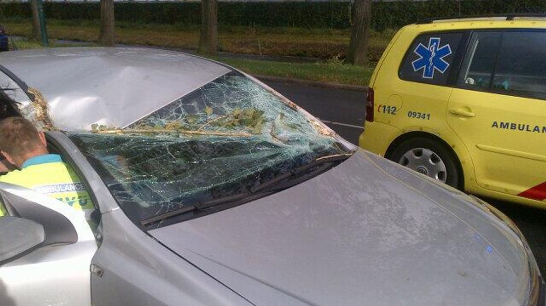 Op de Safariweg in Maarssen viel een gewonde nadat een boom op een auto was gewaaid
