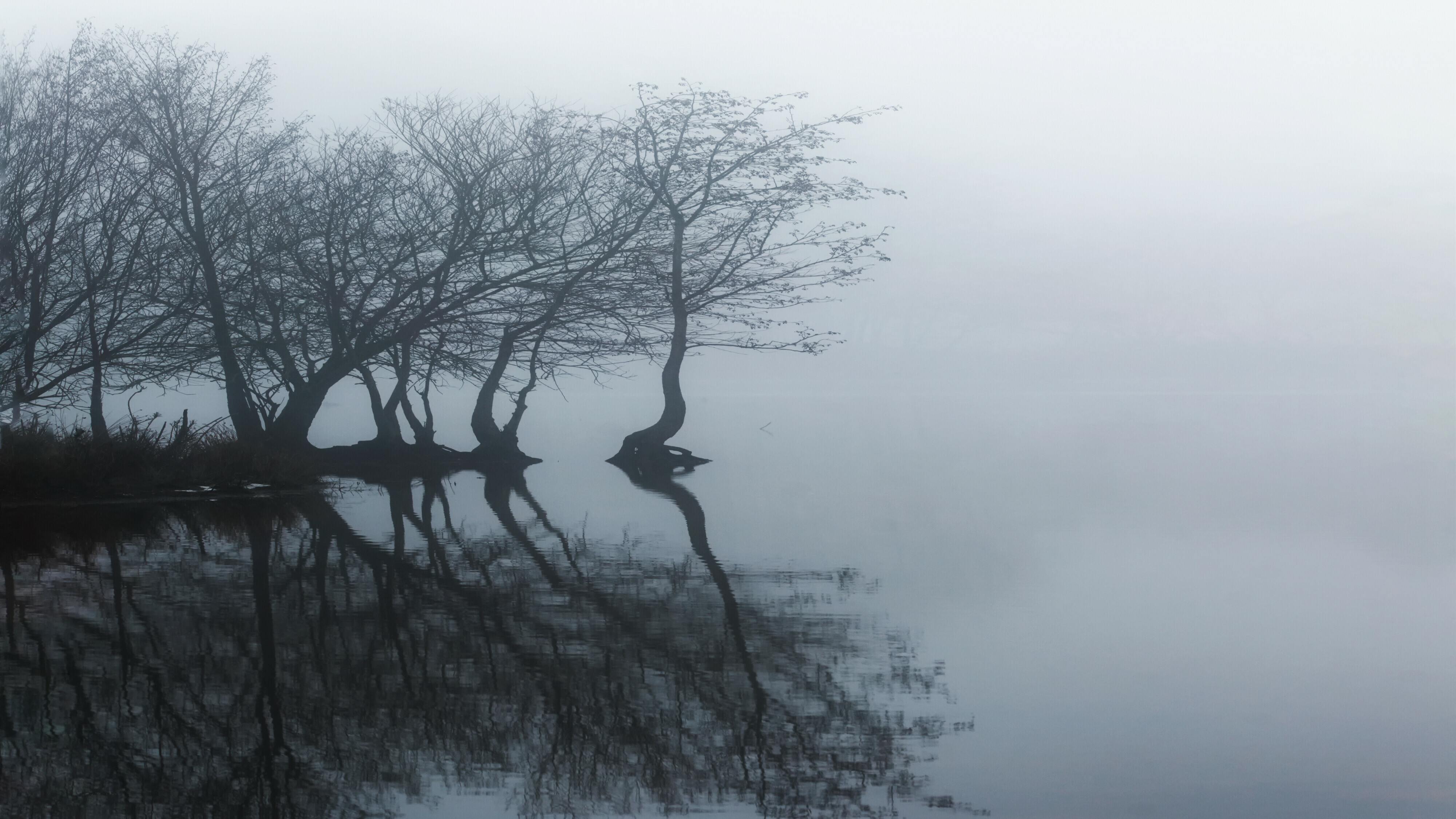 Code geel vanwege mist verlengd tot morgenochtend