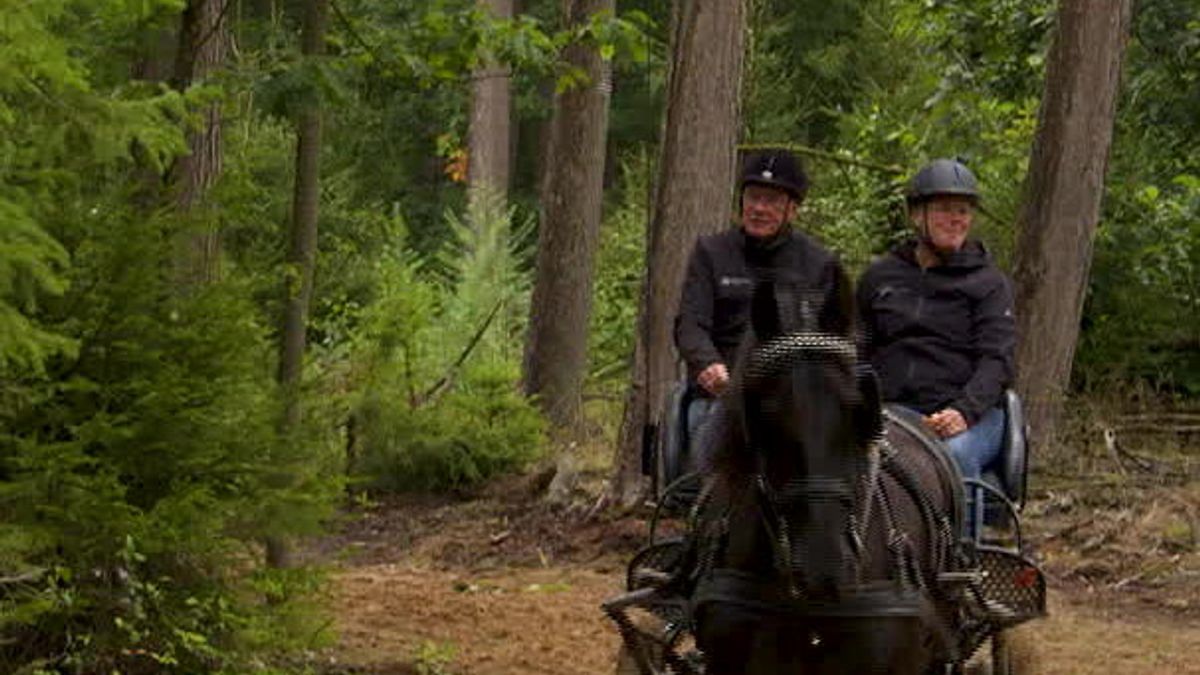Paardenvierdaagse in Zorgvlied