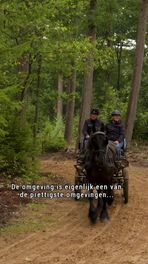 Paardenvierdaagse in Zorgvlied