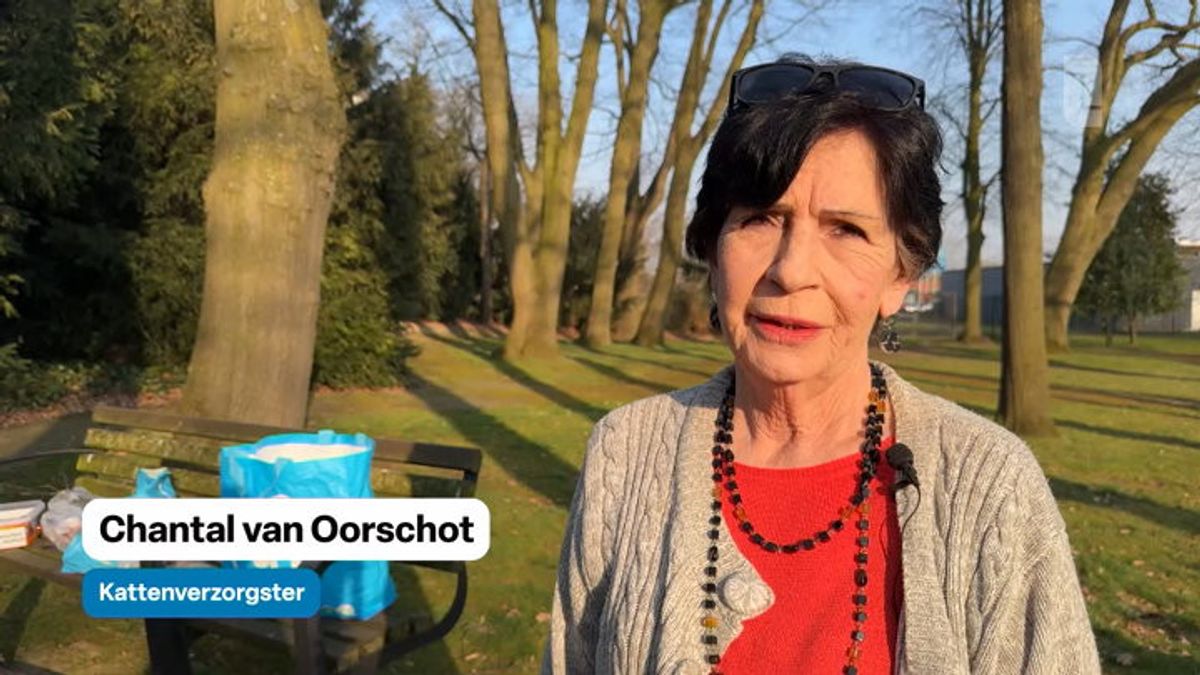 Zwerfkatten Herkenbosch krijgen hun brokjes ondanks dwangsom