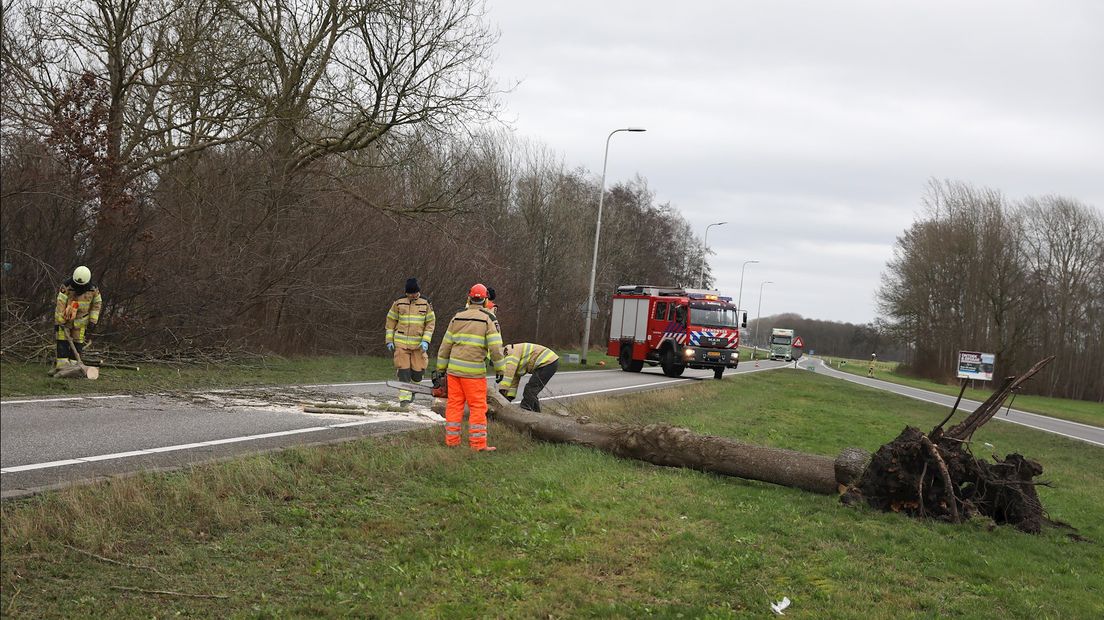 De N377 bij Dedemsvaart was even dicht nadat een boom op de weg was gevallen