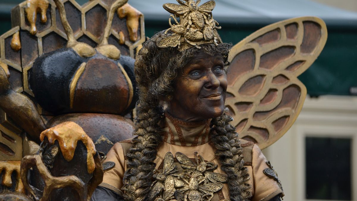 Wat is er dit weekend te doen in Drenthe?