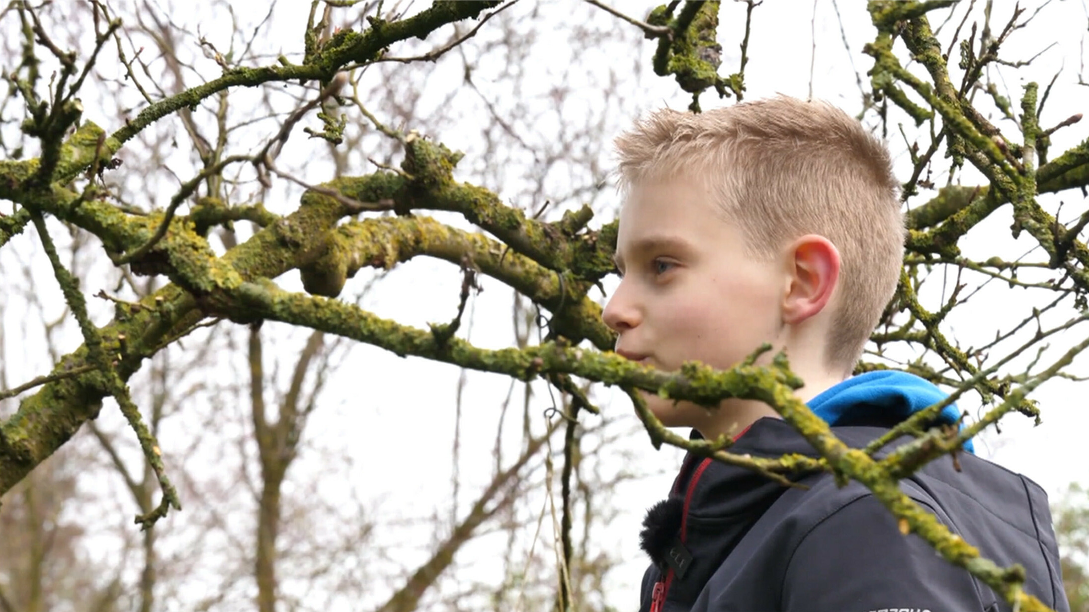 Al 25 jaar hoogstamfruitbomen snoeien voor een betere opbrengst