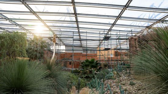 Ingrijpende verbouwing van grootste overdekte woestijngebied ter wereld