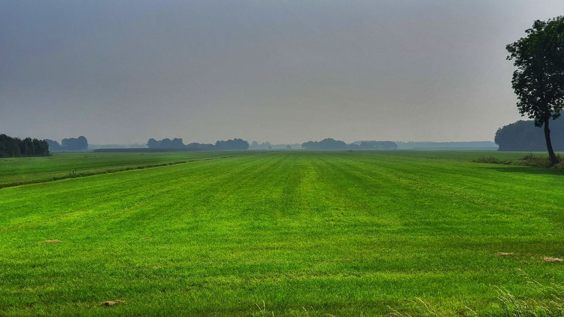 Kans op smog in Drenthe (Rechten: Persbureau Meter)