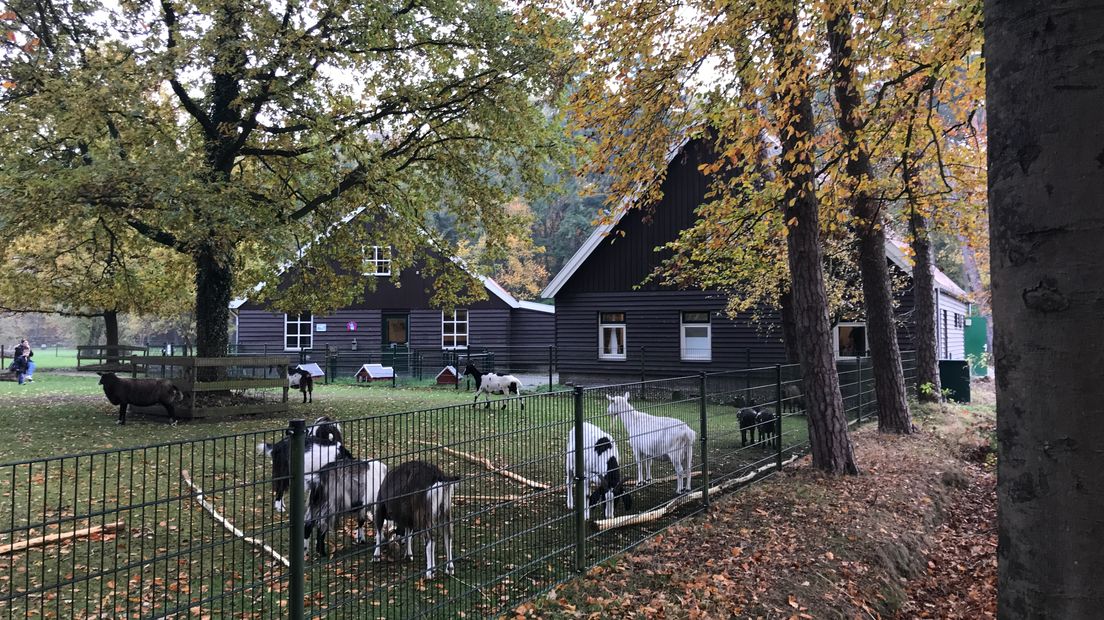 De kinderboerderij in het Asserbos wordt flink onderhanden genomen (Rechten: Margriet Benak / RTV Drenthe)