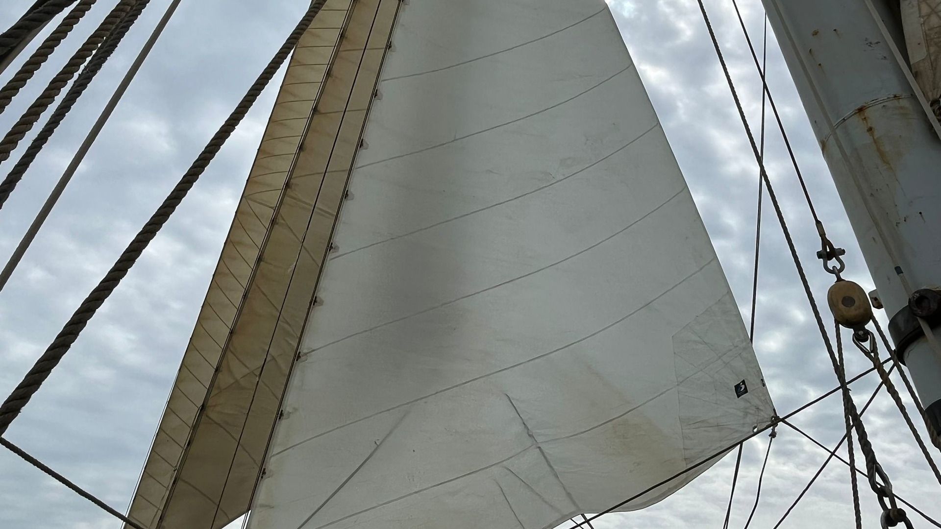 De zeilen van de Wylde Swan