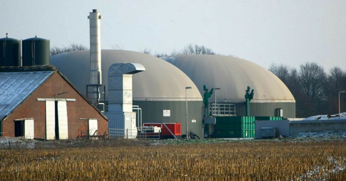 Coevorden verliest zaak over dwangsom mestvergister