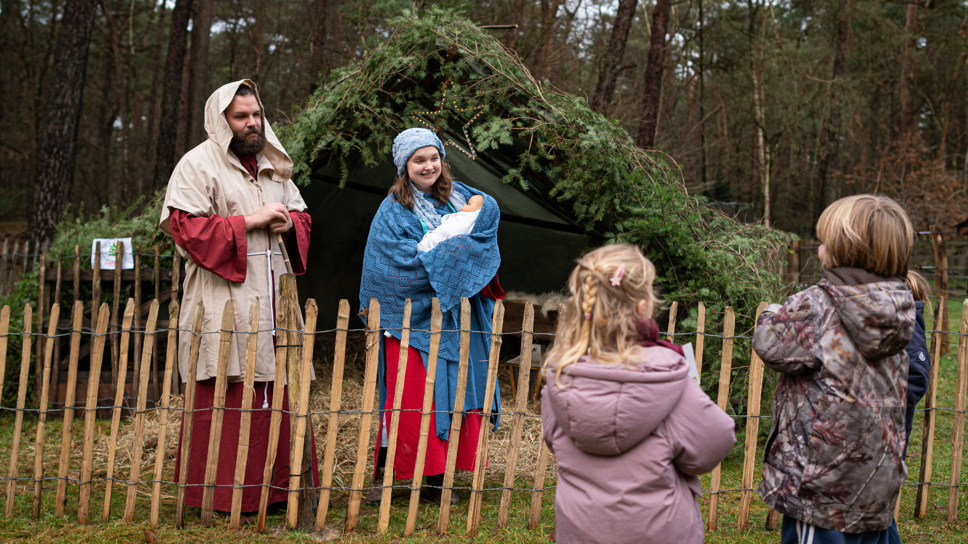 Wolven zetten streep door kerstfeest Schaapskooi
