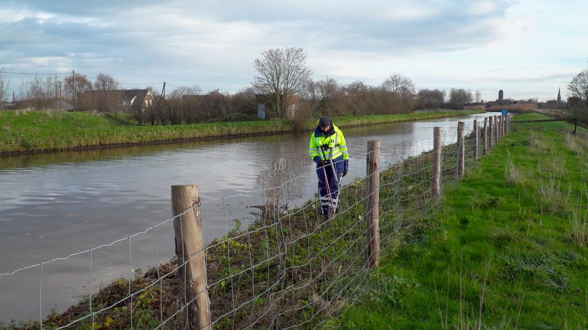 Is een nieuwe Lekdijk-ramp mogelijk? Ontdek het in deze documentaire