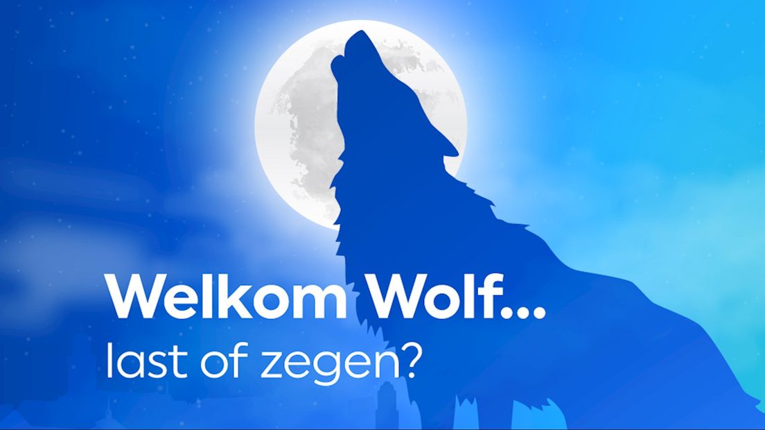 Welkom Wolf... last of zegen?