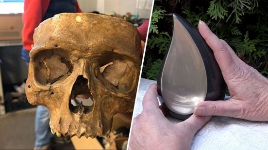 Deze bijzondere 'kringloopparels' werden naar de kringloop gebracht