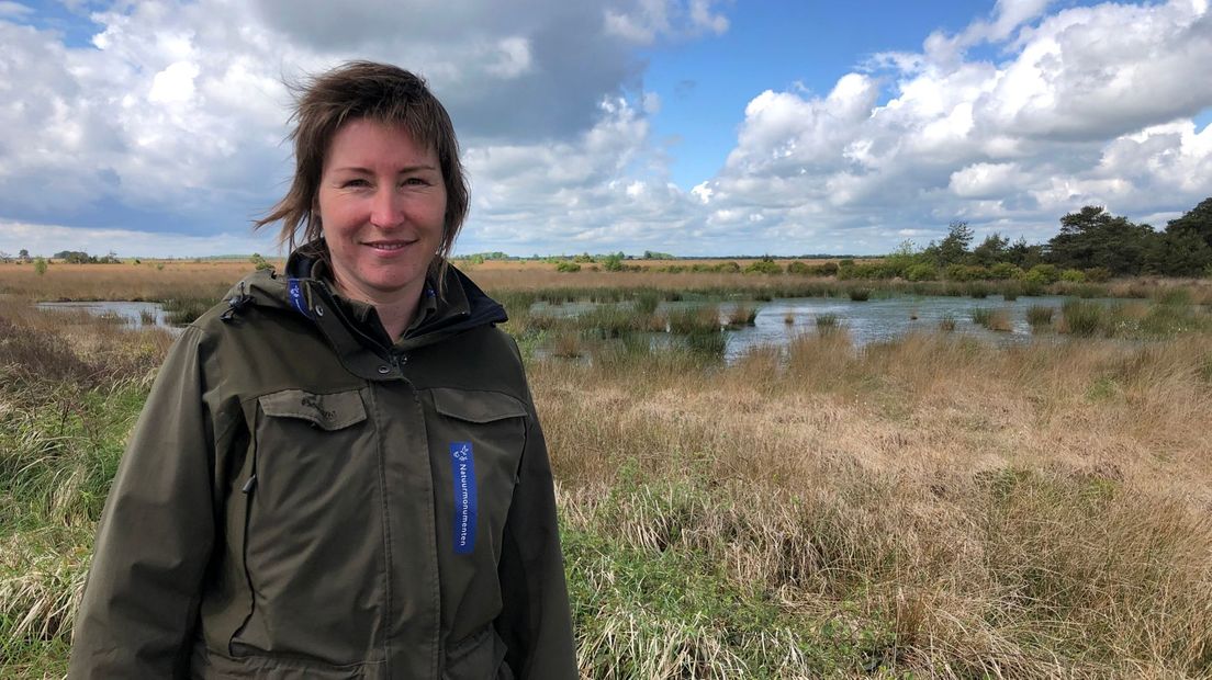 Boswachter Sietske Westerhof in het Fochteloërveen