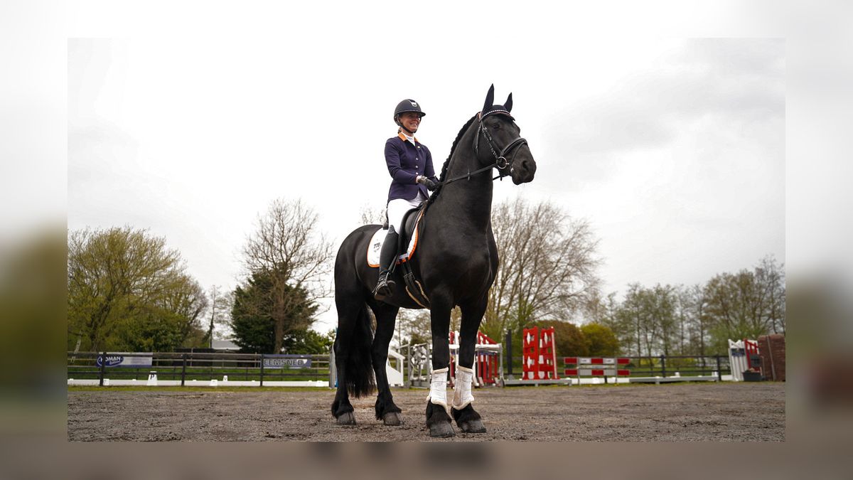 Wordt Floris het eerste Friese paard ooit op een WK dressuur?