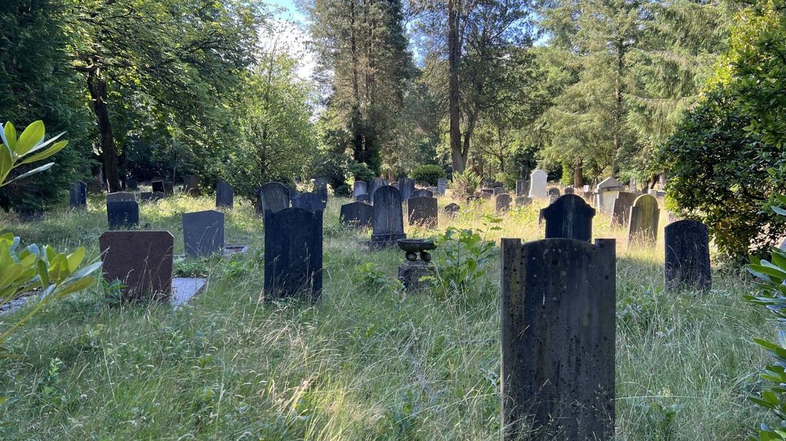 Een 'vierdeklasseveld' op begraafplaats Soerenseweg.