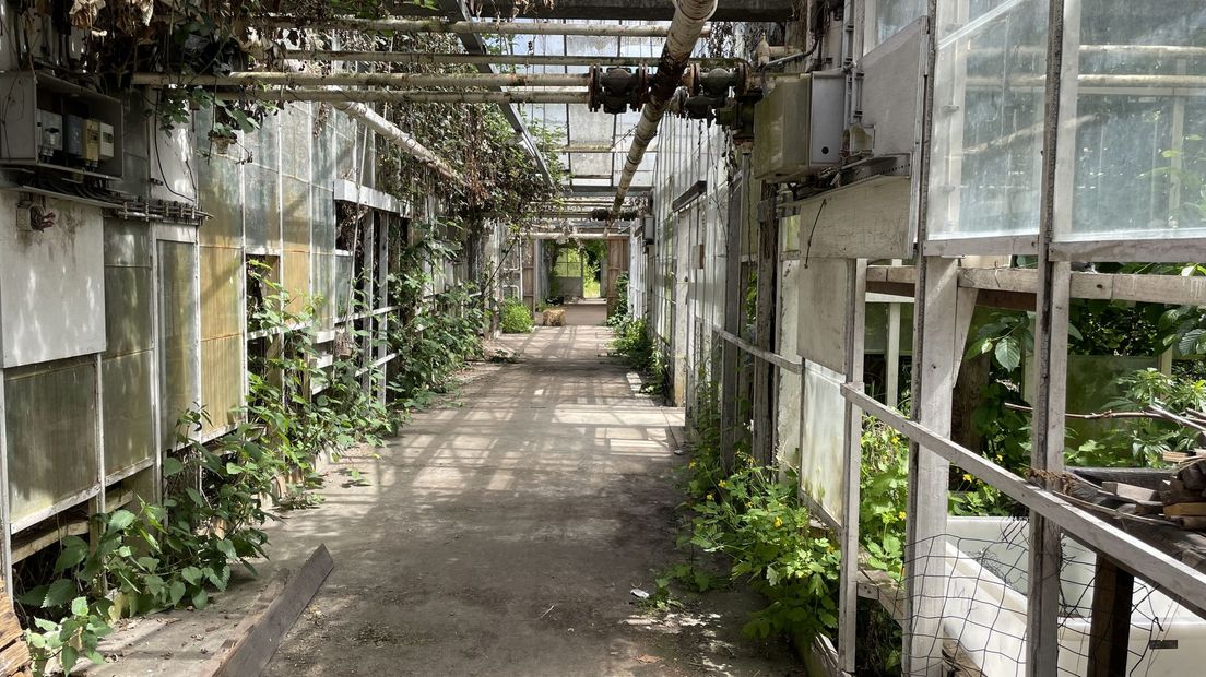 De oude kas van de tuinbouwschool is in verval geraakt