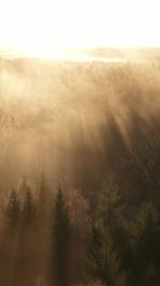 Uitkijktoren Fochteloërveen