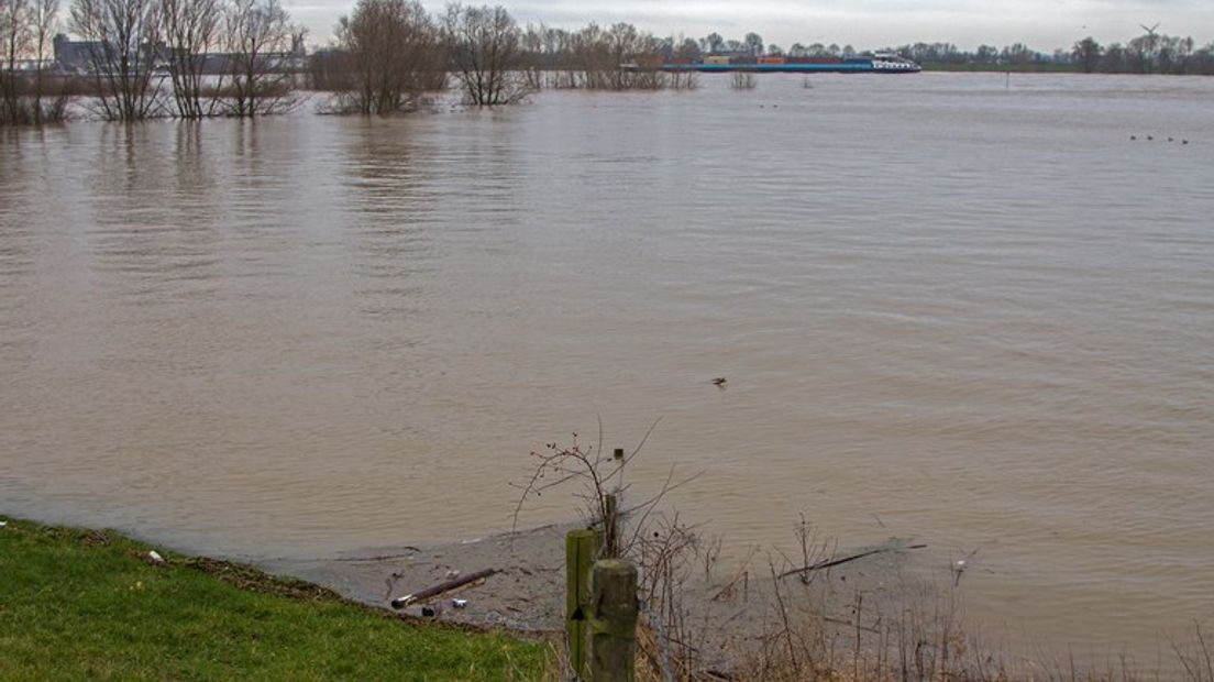 Hoogwater in de Rijn.