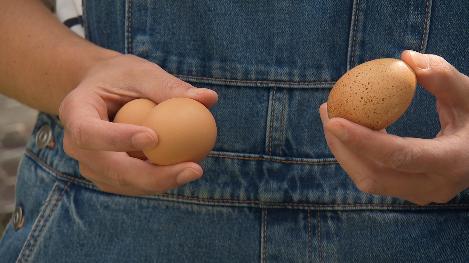 'Geen reden om in paniekmodus te schieten', toxicoloog over PFAS in eten en drinken