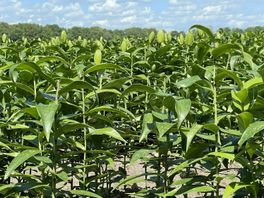 Westerveld moet van rechter nieuw besluit nemen op eisen Meten=Weten