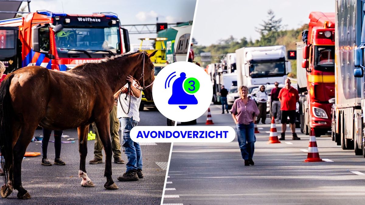 Dodelijke ongelukken, grote files rond Arnhem en gedumpte post in Groesbeek op 2 oktober