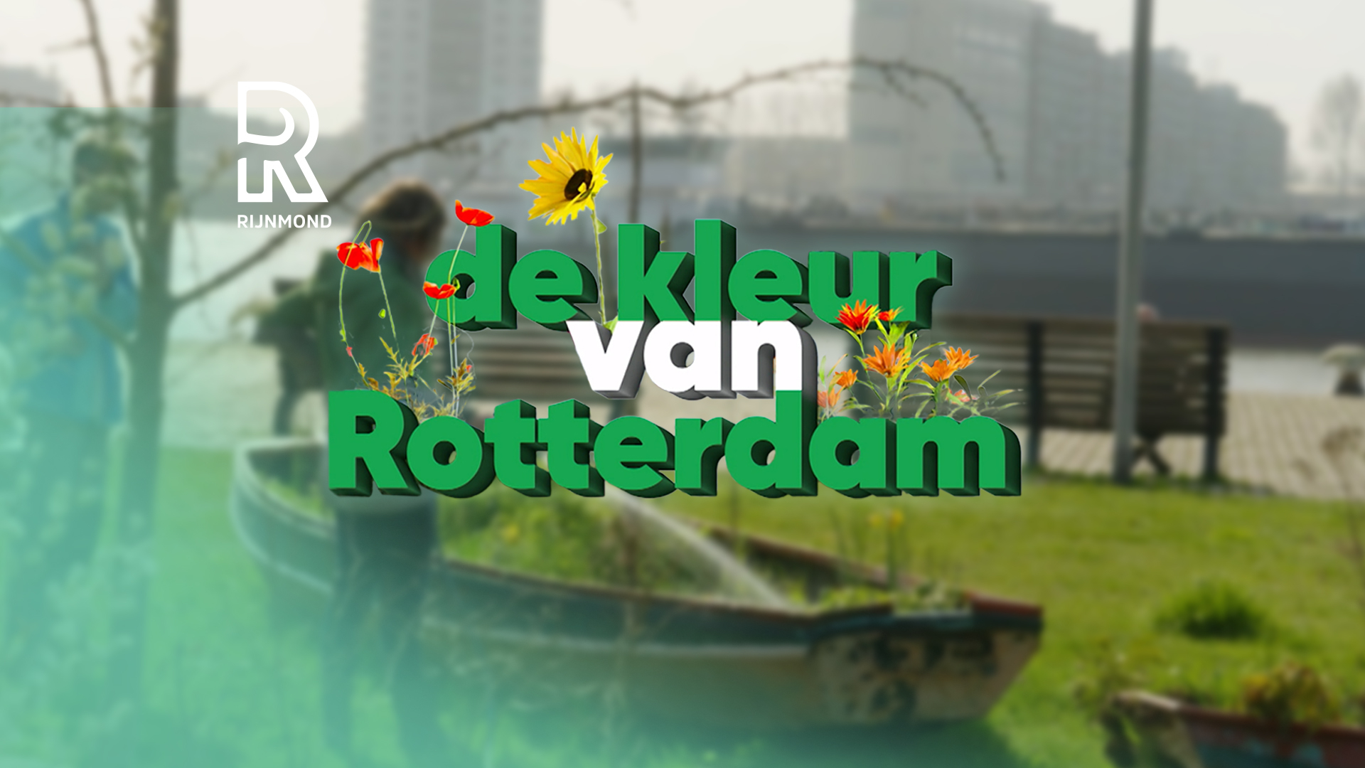 De Kleur van Rotterdam - De Kleur van Rotterdam - Aflevering 26002 - 08-09-2026