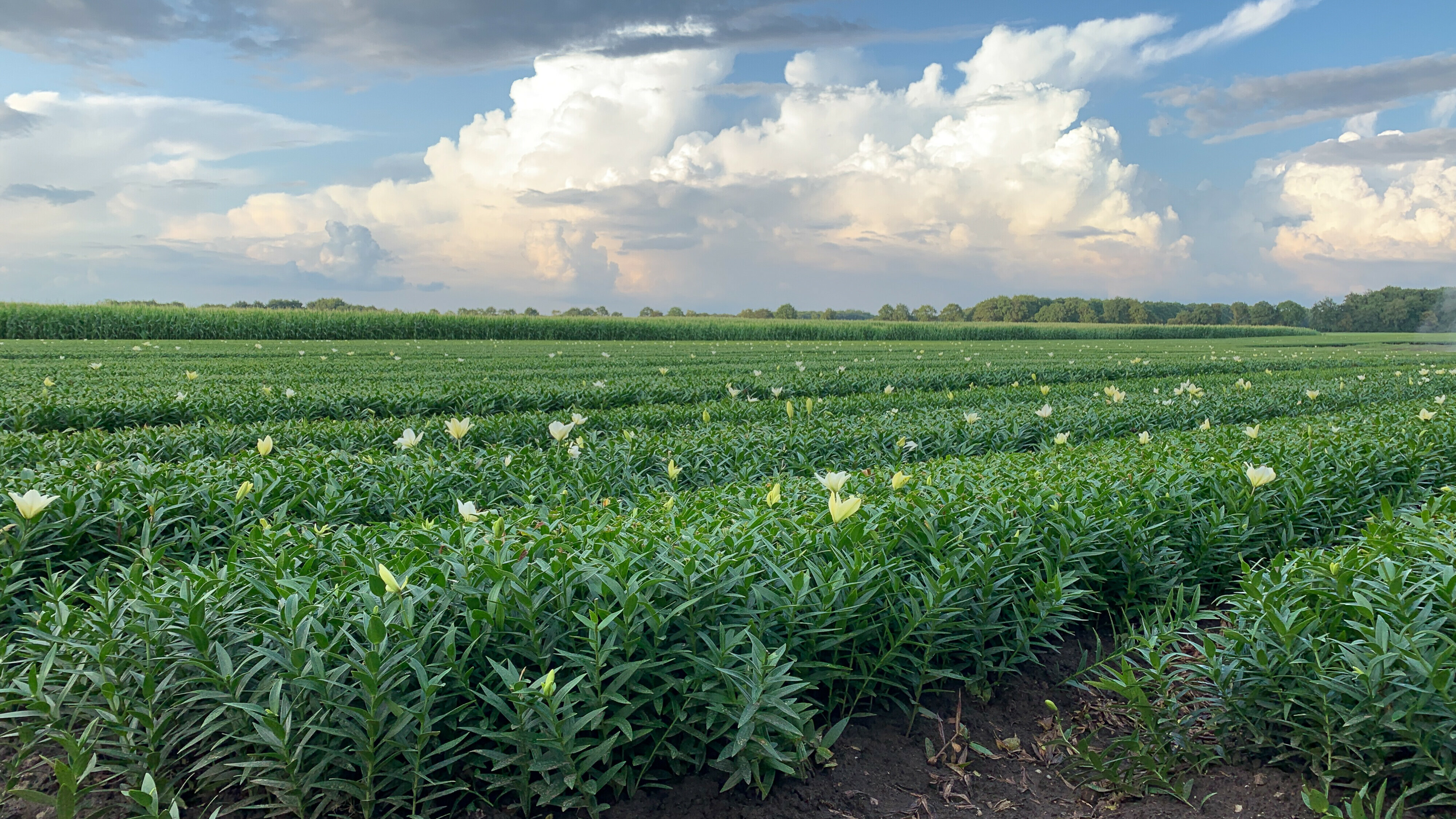 Op percelen waar gespoten wordt, is afstand tot mens en natuur dit jaar weer stuk urgenter