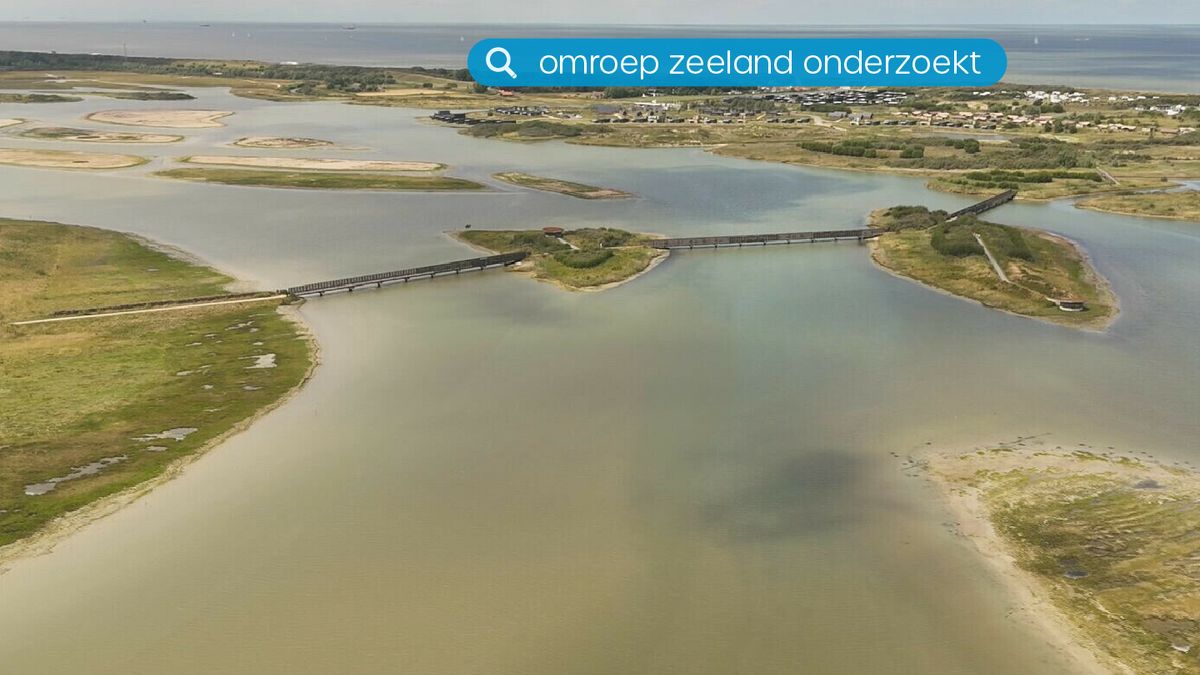 Goochelen met cijfers: zo sprokkelde de provincie natuur bij elkaar rond de Westerschelde