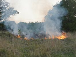 Natuurbrand bij Baggelhuizen in Assen, vuur snel onder controle