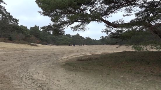 Groep archeologen zoekt naar bijzondere vuurstenen