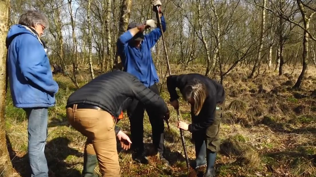 De vrijwilligers boren in de grond om te onderzoeken of er een pingoruïne is (Rechten: RTV Drenthe)