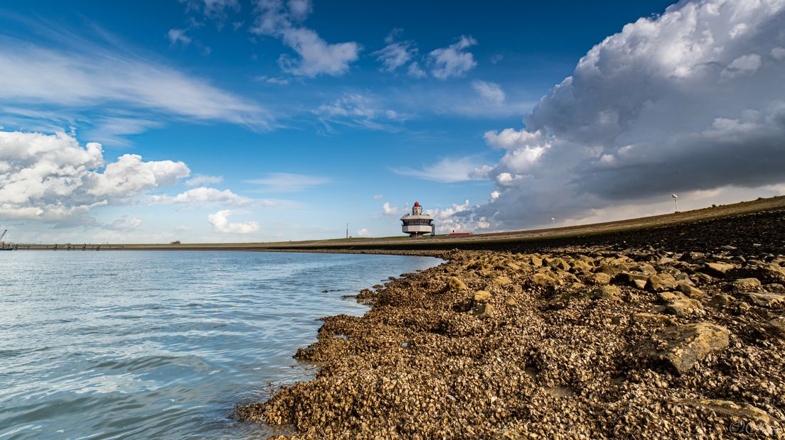 De dijk bij Hansweert