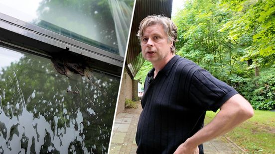 Jongeren terroriseren bibliotheek: poep op het raam en medewerker met de dood bedreigd